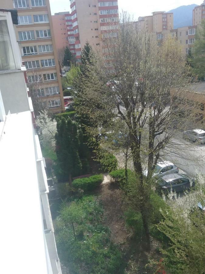 Apartament La Morena Blanca Brașov