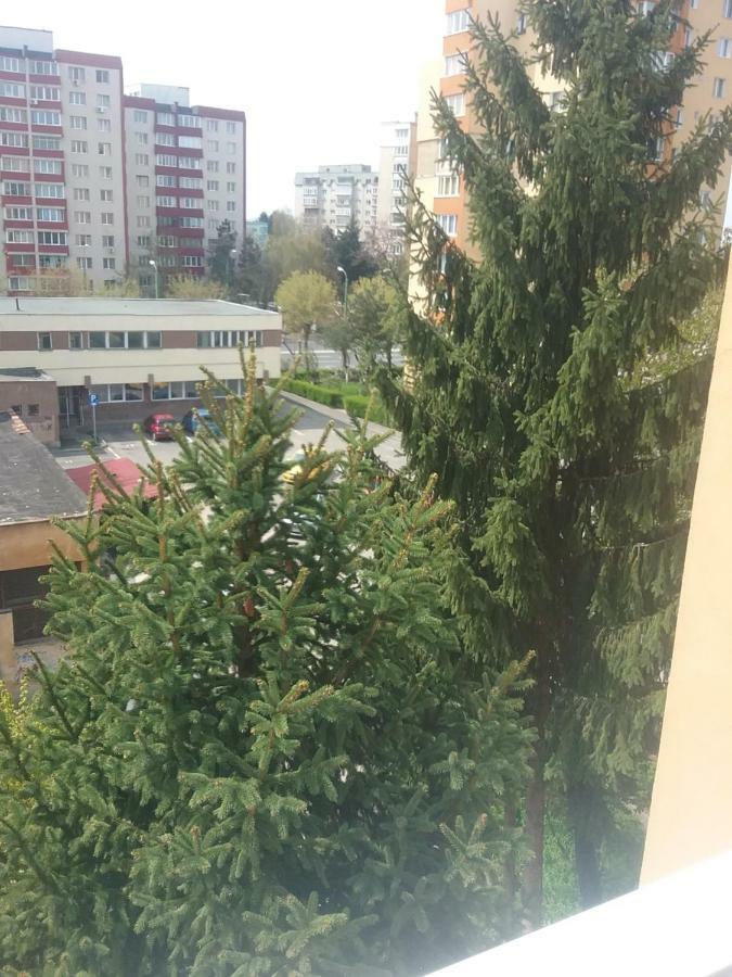 La Morena Blanca Apartament